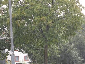 DSCF0434.jpg DSCF0434.jpg