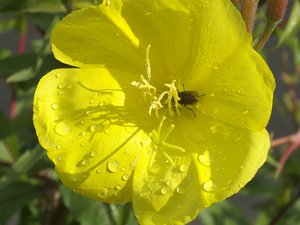 DSCF0430.jpg DSCF0430.jpg