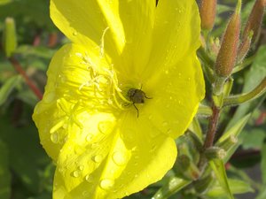 DSCF0431.jpg DSCF0431.jpg