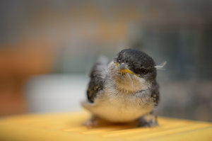 DSC_8533-Bearbeitet Kopie.jpg