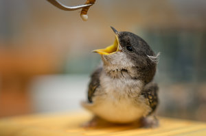 DSC_8543-Bearbeitet Kopie.jpg