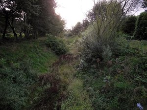 Auffangbecken Lichtenbroich 23.8.14.jpg Auffangbecken Lichtenbroich 23.8.14.jpg