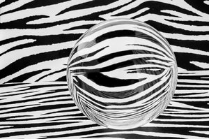 Fotoforum Kugel (2 von 2).jpg