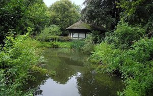 Teich im Mühlenhof 26.8.14.jpg Teich im Mühlenhof 26.8.14.jpg