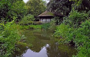 Teich im Mühlenhof 26.8.14-2.jpg