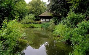Teich im Mühlenhof 26.8.14.jpg Teich im Mühlenhof 26.8.14.jpg