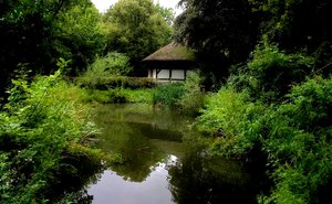 Teich im Mühlenhof 26.8.14.jpg Teich im Mühlenhof 26.8.14.jpg
