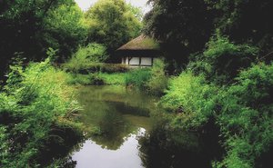 Teich im Mühlenhof 26.8.14.jpg Teich im Mühlenhof 26.8.14.jpg