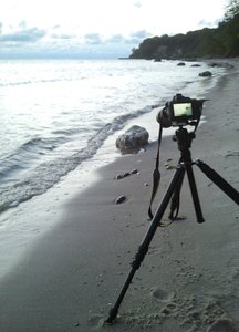 comp_2014-08-18 05.46.50.jpg