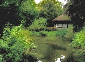 Teich im Mühlenhof 26.8.14 I.jpg Teich im Mühlenhof 26.8.14 I.jpg
