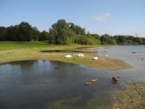 ##TMPCompress## I.jpg