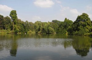 comp_DSCN9103.jpg comp_DSCN9103.jpg