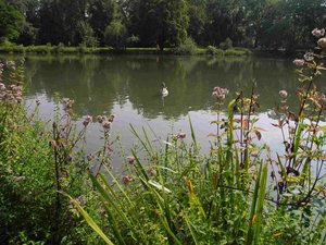 comp_DSCN9109.jpg comp_DSCN9109.jpg