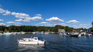 _MG_6103_1600.jpg _MG_6103_1600.jpg