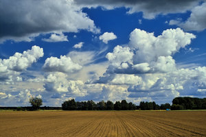2014_08_27_SD9_Rasdorf_Feld_Wolken_35mm_f8_Polfilter_0011_VarA_DT_1350x900pix.jpg
