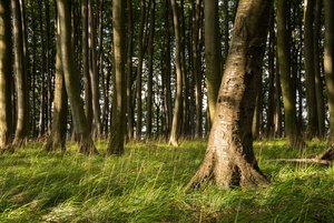 comp_DSC_1824 10.jpg