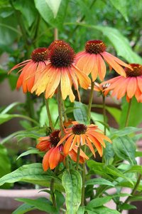 Bild- 12.jpg Bild- 12.jpg