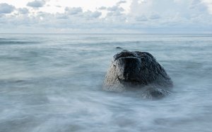 comp_DSC_1790.jpg comp_DSC_1790.jpg