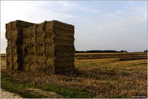 Stohballen_7303.jpg