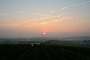 comp_DSC_2831_494bearbeitet.jpg comp_DSC_2831_494bearbeitet.jpg