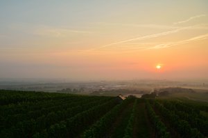 comp_DSC_2845_496bearbeitet.jpg comp_DSC_2845_496bearbeitet.jpg