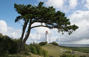 comp_DSC_1842.jpg comp_DSC_1842.jpg