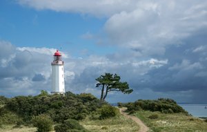 comp_DSC_1846.jpg comp_DSC_1846.jpg