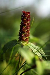 9_3514_IMG04078 Kopie.jpg