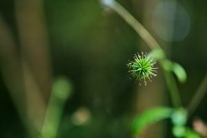 9_3514_IMG04064 Kopie.jpg