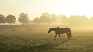 9.9.2014 057 - Kopie.JPG