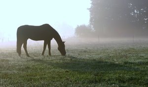 9.9.2014 080 - Kopie.JPG