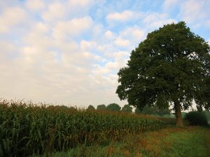 9.9.2014 115 - Kopie.JPG