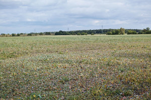 SDIM0197klein.jpg SDIM0197klein.jpg