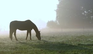 9.9.2014 080 - Kopie (2).JPG