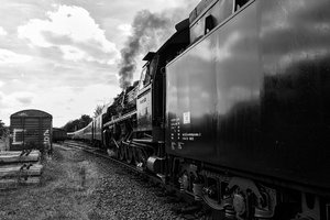 web__SDI0247-2.jpg web__SDI0247-2.jpg