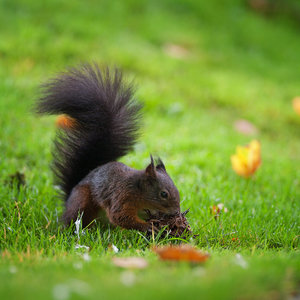 IMG_9301-Bearbeitet Kopie.jpg