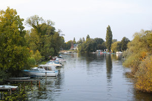 SDIM0038.jpg SDIM0038.jpg