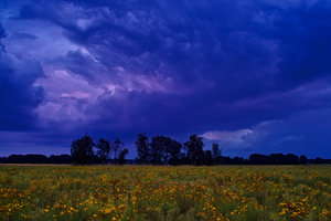 2014_09_10_SD9_20mm_Rasdorf_Wiese_mit_Johanniskraut_und_Abendwolken_116_119_VarA_DT_1350x900pix.jpg