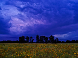 2014_09_10_SD9_20mm_Rasdorf_Wiese_mit_Johanniskraut_und_Abendwolken_116_119_VarB_DT_1200x900pix.jpg