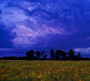2014_09_10_SD9_20mm_Rasdorf_Wiese_mit_Johanniskraut_und_Abendwolken_116_119_VarB_DT_1000x900pix.jpg