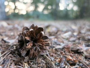 nur so 053 - Kopie.JPG