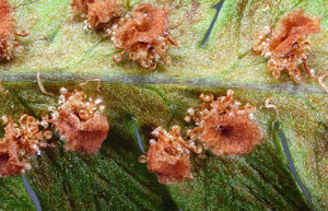 2 - fertig.jpg 2 - fertig.jpg