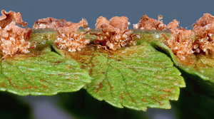 3 - fertig.jpg 3 - fertig.jpg