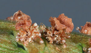 4-fertig.jpg 4-fertig.jpg