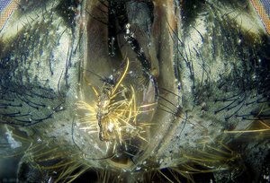 500k_2014-09-21-17.26.15 ZS PMax.jpg