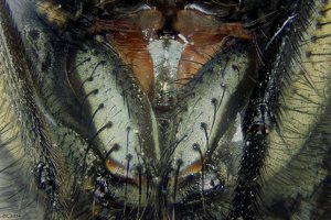 500k_2014-09-21-18.03.58 ZS PMax.jpg