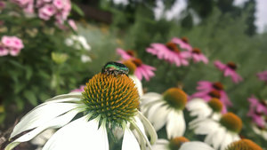 WP_20140730_14_35_30_Pro-4.jpg WP_20140730_14_35_30_Pro-4.jpg