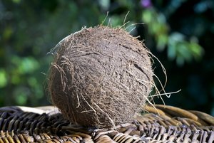 Small_DSC_3390.jpg Small_DSC_3390.jpg