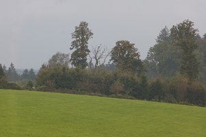 DSC04777 Nex 5r + Orestegor 200mm (c) PPf.jpg