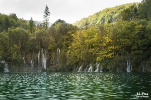 comp__MG_7473-Bearbeitet.jpg comp__MG_7473-Bearbeitet.jpg